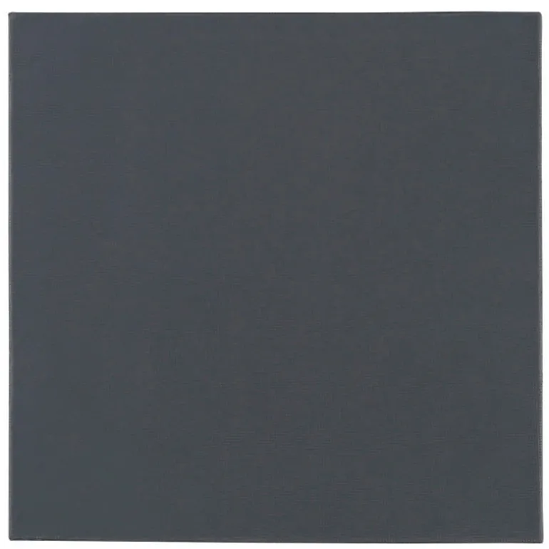 Almohadilla Térmica Thermal Grizzly Minus Pad Pro 100 x 100 x 1,0 mm