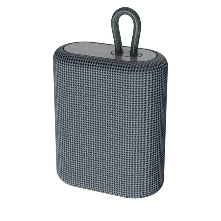 Altavoz Canyon BSP-4 Outdoor BT Gris
