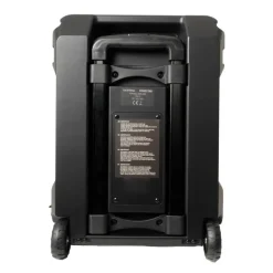 Altavoz Fonestar California 200W Micrófono Inalámbrico VHF