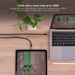 Cable Nanocable USB 3.2 4K 60Hz 5A C a USB-C 1.5m Gris