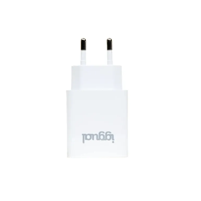 Cargador iggual IGG318317 USB PD Tipo C 30W