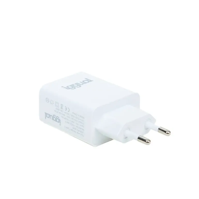 Cargador iggual IGG318317 USB PD Tipo C 30W