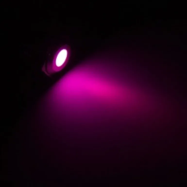 Lamptron SW2005-S 18mm Violeta Versión Plateada - Led