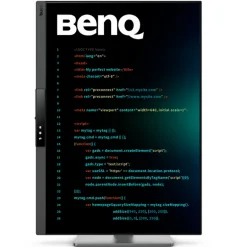 Monitor BenQ RD280UG 28