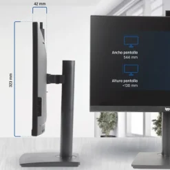 Monitor iggual Webcam 24