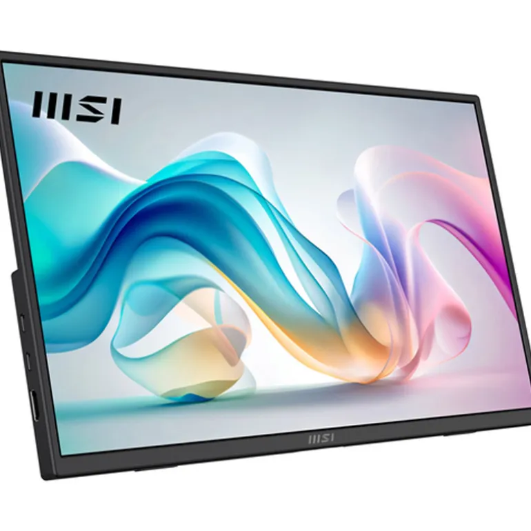 Monitor MSI PRO MP165 E6 15.6" FHD IPS 60Hz 5ms USB-C Portátil