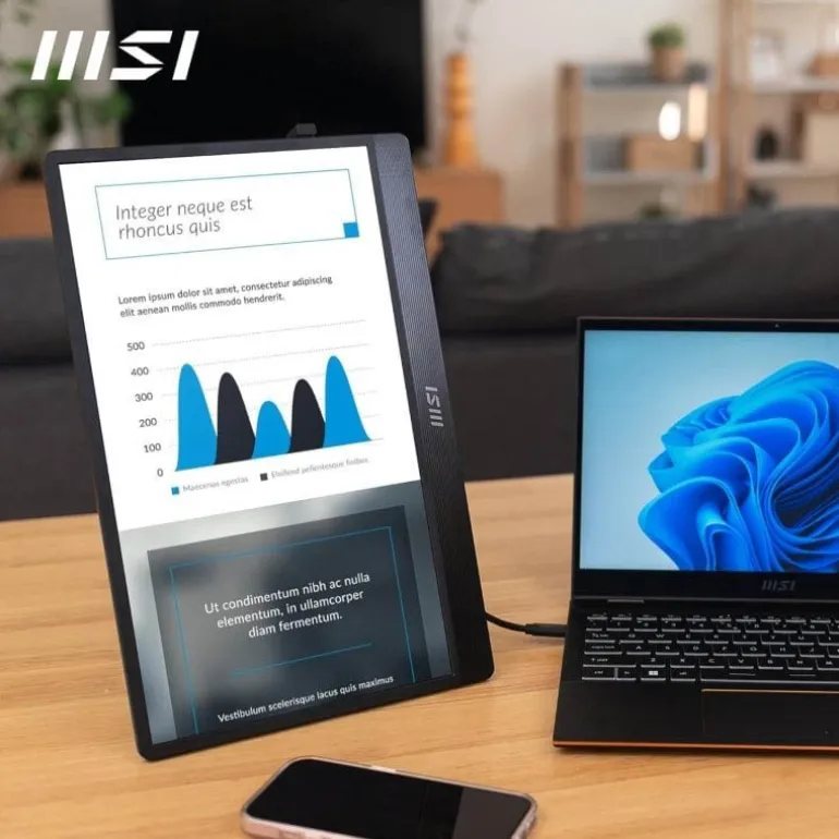 Monitor Portátil MSI MP161 E2 15.6" FHD IPS 60Hz 4ms