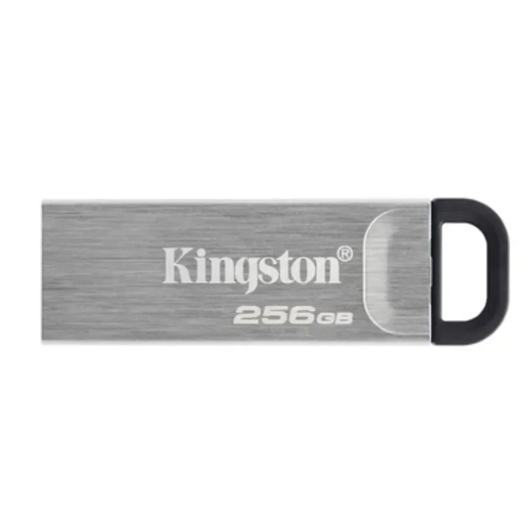 Pendrive Kingston DataTraveler DTKN 256GB 3.2 Gen1 Plateado