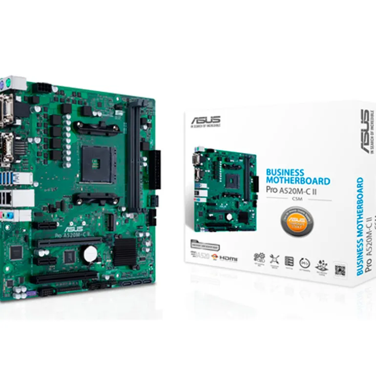 Placa Base Asus Pro A520M-C II/CSM Socket AM4