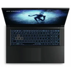 Portátil Medion Erazer Defender P50 MD62643 i7-12650H RTX 4060 16GB 1TB 17.3" W11H