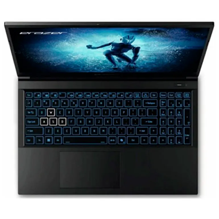 Portátil Medion Erazer Deputy P60i MD62687 i5-12450H RTX 4060 16GB 512GB 15.6" FreeDOS