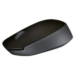 Ratón Logitech Wireless M170 Gris