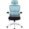 Silla Gaming Woxter Ergo Azul