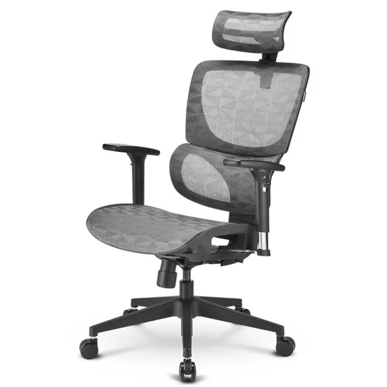 Silla Oficina Sharkoon OfficePal C30M Gris