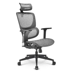 Silla Oficina Sharkoon OfficePal C30M Gris