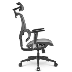 Silla Oficina Sharkoon OfficePal C30M Gris