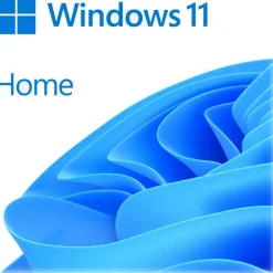 Software Microsoft Windows 11 Home 64 Bits Inglés DSP DVD OEM