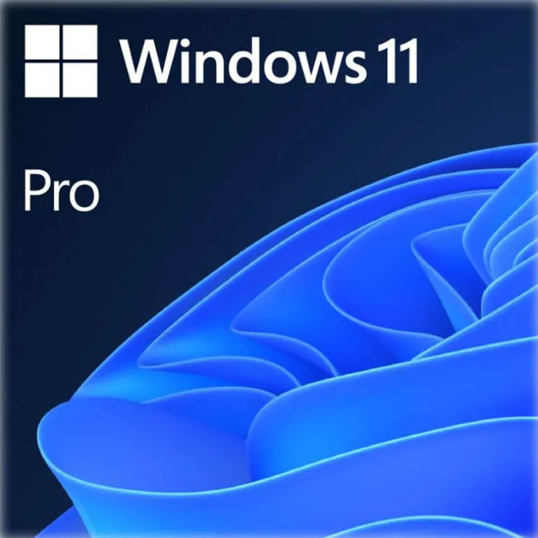 Software Microsoft Windows 11 Pro 64 Bits PT OEM