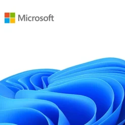 Software Microsoft Windows 11 IoT Enterprise LTSC 2024