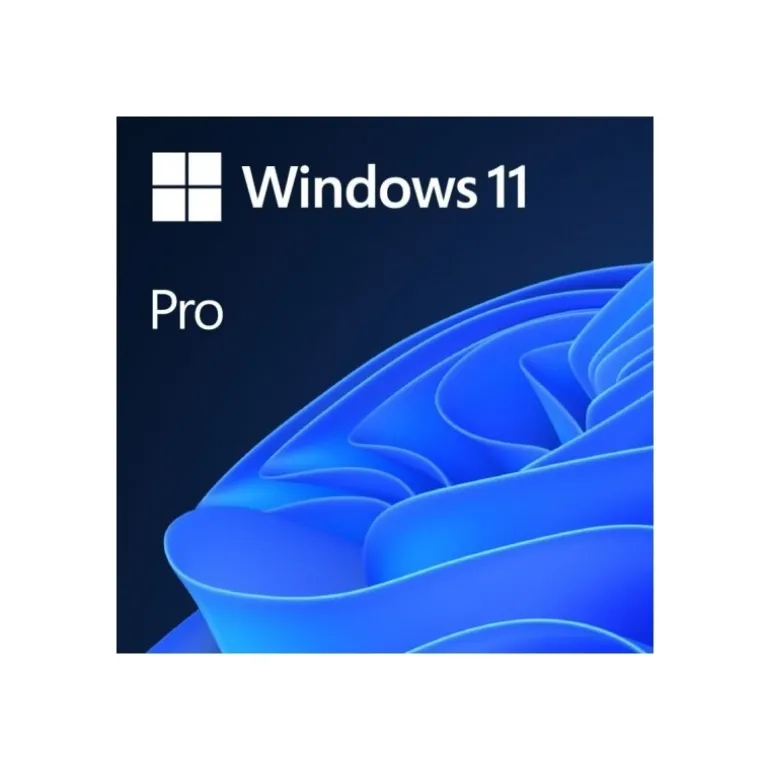 Software Microsoft Windows 11 Pro 64 Bits