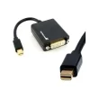 Startech Cable Mini DisplayPort a DVI Video - Adaptador
