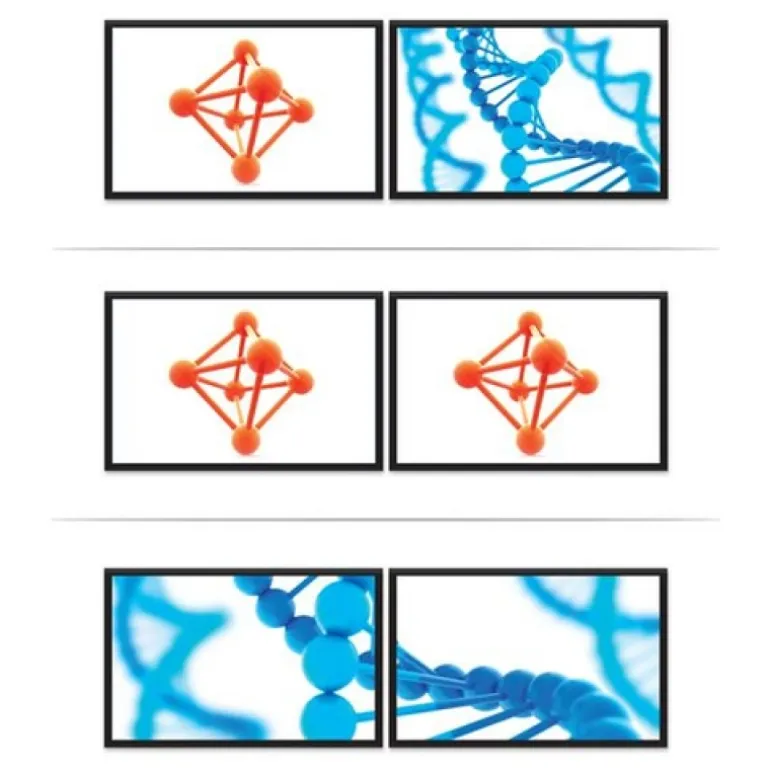 Startech Multiplicador DP a 2 Puertos DisplayPort - Adaptador