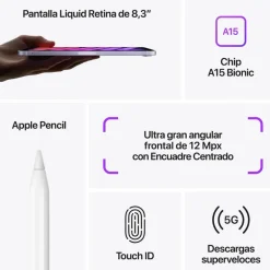 Tablet Apple iPad Mini Wi-Fi + Cellular 8.3" A15 4GB 64GB  Gris Espacial iPadOS