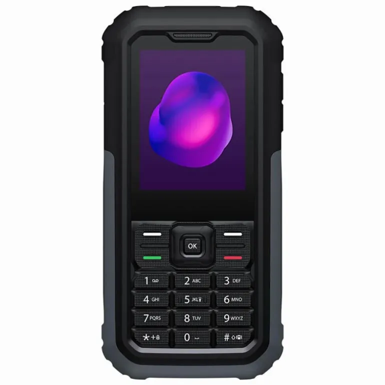 Teléfono Móvil TCL 3189 2.4" 64MB 128MB 4G Gris