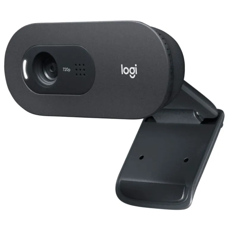 Webcam Logitech C505 HD