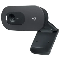 Webcam Logitech C505e Business HD